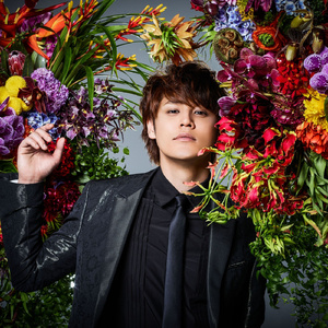 交易在线小龟导航
