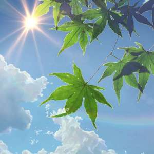 交易在线小龟导航
