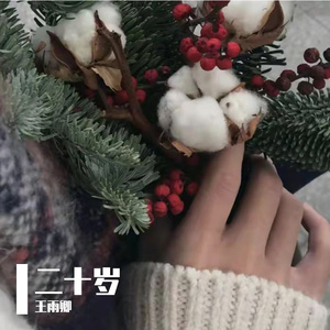 交易在线小龟导航
