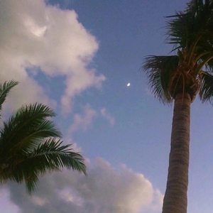 交易在线小龟导航
