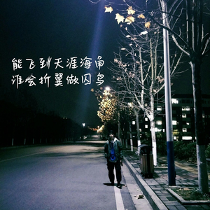 交易在线小龟导航
