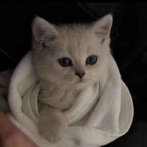 交易在线小龟导航
