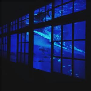 交易在线小龟导航
