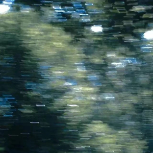 交易在线小龟导航
