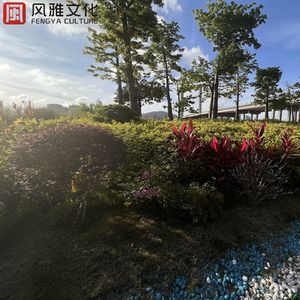 交易在线小龟导航
